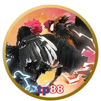 tp88